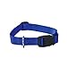 Guardian Gear Nylon Adjustable Dog Collar with Plastic Buckles, 3/8-Inch, Blue