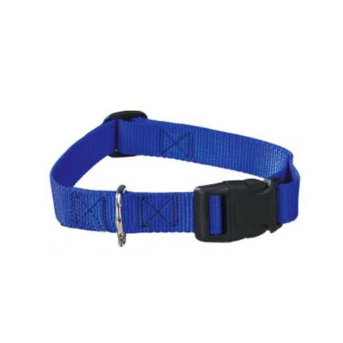 Guardian Gear Nylon Adjustable Dog Collar with Plastic Buckles, 3/8-Inch, Blue
