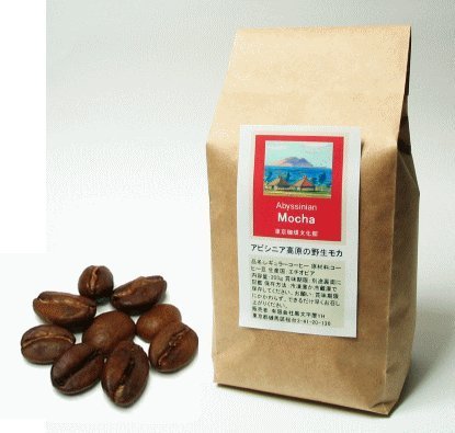 アビシニア高原の野生コーヒー　モカ・コーヒー豆400g 【東京珈琲文化館】