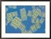 Magnified View of Diatoms That Reproduce by Simple Cell Division Collections Framed Photographic Poster Print by Darlyne A. Murawski, 29x21