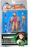 Pink Cammy Action FigureIMAGE