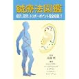 鍼療法図鑑<br>ハンス‐ウルリッヒ・ヘッカーほか著　 兵頭 明監修　 東出 顕子訳　 <br>2520円<br>ISBN:9784882828051　
