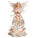 Fairy LED Light