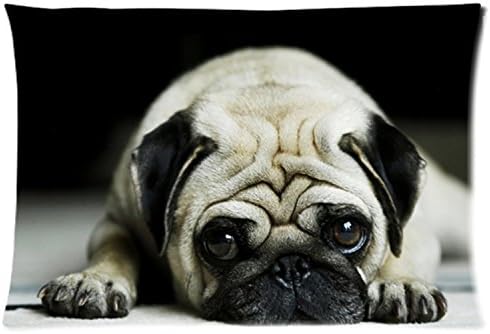 Lucy shops Good Quality Pillow Cases Custom Comfortable Pillow Case 20x36 Inches (Two side)