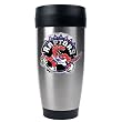 Toronto Raptors Stainless Steel Travel Tumbler (Primary Logo)