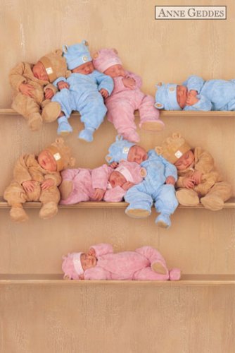 Poster Anne Geddes - Shelf - Babies im Regal Babys - Maxiposter - Größe 61 x 91,5 cm