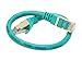 Rosewill 1-Feet Cat 7 Shielded Twisted Pair Networking Cable - Green (RCNC-11033)