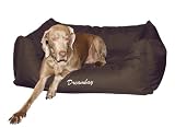 Paulchen 58850 Sofa Dreambay 100 cm, braun