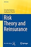 Risk theory and reinsurance