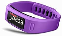 Garmin Vivofit Fitness Band
