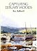 All Products : Capturing Estuary Moods DVD with Ray Balkwill
