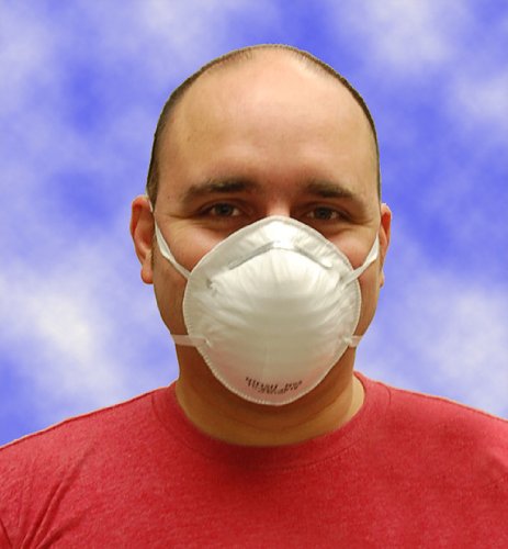 Flents Mask Particulate Respirators, N95, -20 Masks- bulk