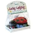 Lucky Ladybug (Hardcover)