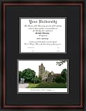 Diploma Frame & Lithograph Illinois Fighting Illini