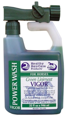 Healthy Haircare Products Vigor Liniment Power Wash Qt