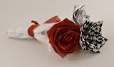 Dazzling Sweetest Day Gift Twilight Inspired