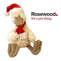 Jolly Doggy Belle Birdie Christmas Soft Dog Toy