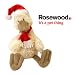 Jolly Doggy Belle Birdie Christmas Soft Dog Toy