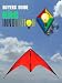 Kite Innovations - Beginner Kiting Buyers Guide