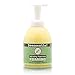 Beesential All Natural Sulfate Free Peppermint Foaming Hand Soap-16 Fl Oz.