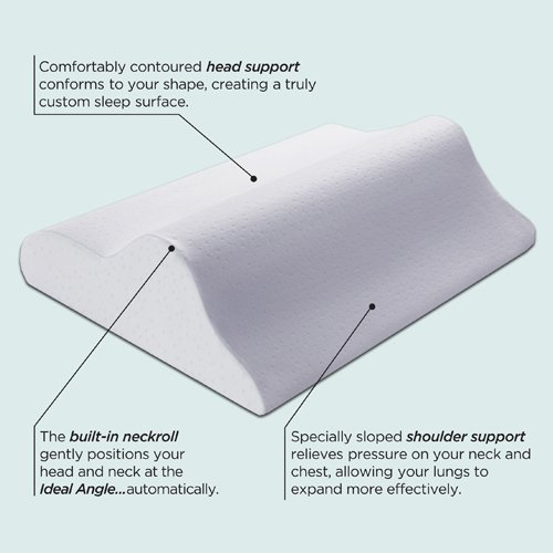 Specialty Medical Pillows Sleep Innovations Rejuvenation Memory Foam