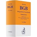B�rgerliches Gesetzbuch: Mit Allgemeinem Gleichbehandlungsgesetz (Auszug)