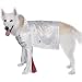 Pet Supplies : Rock Superstar Pet Halloween Costume (Large)