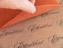 Excalibur Dehydrators Paraflexx Premium Sheets 11X11
