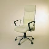 DESIGN EXECUTIVE CHAIR MESH/LEATHER office stool C47 ivory