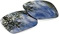 Polarized Black Iridium Replacement Lenses For Oakley Holbrook