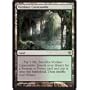 Magic: the Gathering - Verdant Catacombs - Zendikar