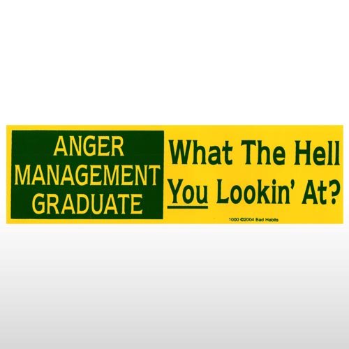 318 - Anger Management Bumper Sticker