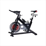 Phoenix Health and Fitness Revolution Cycle Pro II 98623