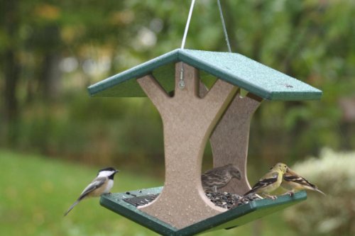 Birds Choice Recycled Hanging Green Roof