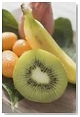Dieting to Lose Weight and Reduce Cholesterol