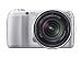 Sony Alpha NEX-C3 16 MP Compact Interchangeable Lens Digital Camera Kit with 18-55mm Zoom Lens (Silver)