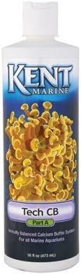 Kent Marine Tech CB Part B 1 Gallon by QUALITY PETS INC