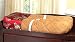 Search Our Specialty Mall : JoJo Designs Changing Pad Cover - Oriental Garden Asian Brocade