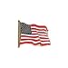USA Flag Lapel Pin Standard