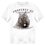 Bouvier des Flandres Property Of Adult T Shirt