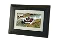 Axion AXN-9708 Digital Picture Frame (Black)