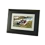 Axion AXN-9708 Digital Picture Frame (Black)