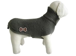 tricoter 1 pull pour chien