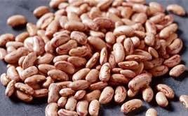 BULK - 1/4# (Approx. 300) - Pinto Bean Seeds - Non-Gmo - Combined Shipping