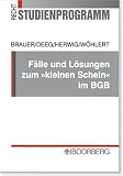Produkt-Bild: F&auml;lle und L&ouml;sungen zum 'kleinen Schein' im BGB
