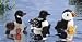 GusBaby Canada Goose