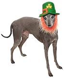 Rubies Costume Company St. Patty's Day Pet Hat with Beard, Small/Medium