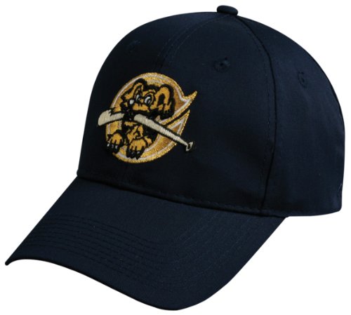 MiLB Minor League ADULT CHARLESTON RIVERDOGS NavyBlue Hat Cap Adjustable Velcro TWILL 