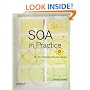 SOA in Practice: The Art of Distributed System Design (Theory in Practice)
