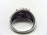 Katekyo Hitman Reborn Cosplay Costume Accessories - Vongola Metal Ring of Storm V2